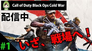 【COD:BOCW】まったり練習！配信中！！【ばるChannel】