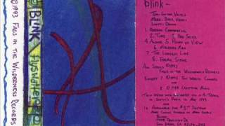 Blink 182 - Red Skies (Flyswatter Demo)