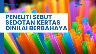 Para Peneliti Nilai Sedotan Kertas Berbahaya untuk Kesehatan, Mengandung Zat Kimia PFAS