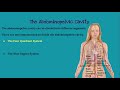 CHAPTER 1 Introduction to Anatomy and Physiology