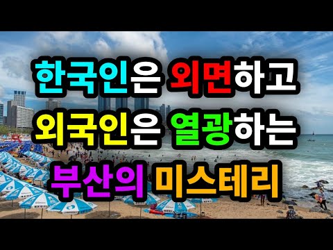 한국인은 외면하고 외국인은 열광하는 부산의 미스테리
