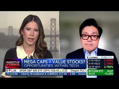 Tom Lee from Fundstrat makes an appearance on TechCheck CNBC.