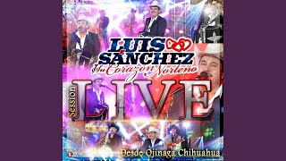 Vuela Paloma (en Vivo)