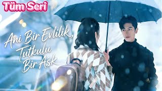 Veli toplantısına giden kiralık adam CEO kocası çıkar; sekreter rolüyle peşini bırakmaz.