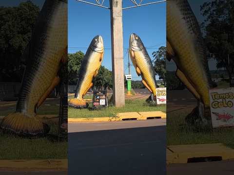 Entrada Principal do Balneário de Rosana estado de São Paulo #rio #paraná #shot
