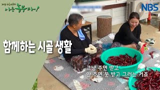 [홍고추 농장의 굳세어라 영란 씨!] 떴다! 서천의 자랑 영란 씨