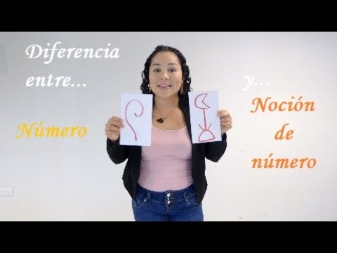 DIFERENCIA ENTRE NÚMERO Y NOCIÓN DE NÚMERO