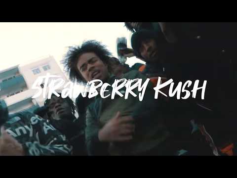 [FREE] Zola x Diddi Trix x Gambi Type Beat 2020 "Strawberry Kush" | (Prod by Mistralboy)