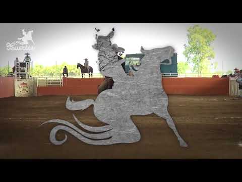 5 Mejores Calas Arena Vallarta 2016