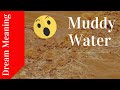 Muddy Water Dream Meaning