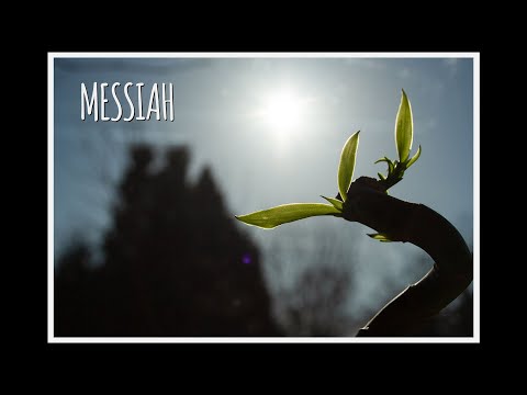 Adrian Maruszczyk - Messiah