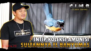 Download lagu INTIP KOLEKSI MEWAH SULTANNYA TLEDEKAN BANYUMAS - MARKAS C.I.M.B mp3 Download lagu INTIP KOLEKSI MEWAH SULTANNYA TLEDEKAN BANYUMAS - MARKAS C.I.M.B mp3