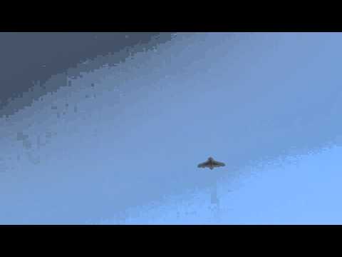 Hawker Hunter - Viscount Memorial - Air Rhodesia