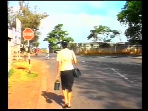 PERSEVERANCE  Mystère