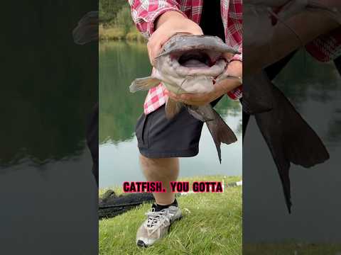 BEST Way To Catch Catfish - PRO Fishing Tips!! 🎣 #shorts #fishing