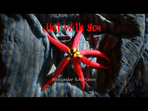 Aleksandar Kashtanov - Hot With You | Official Video 2023