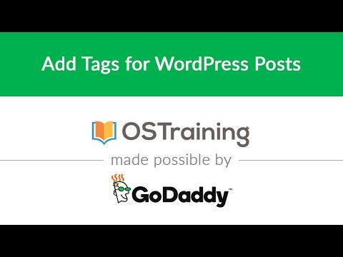 WordPress Beginner Tutorial 11 Add Tags for WordPress Posts