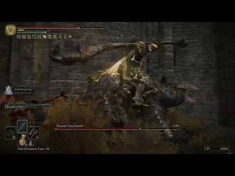 Draconic Tree Sentinel Boss Fight (Capital Outskirts)