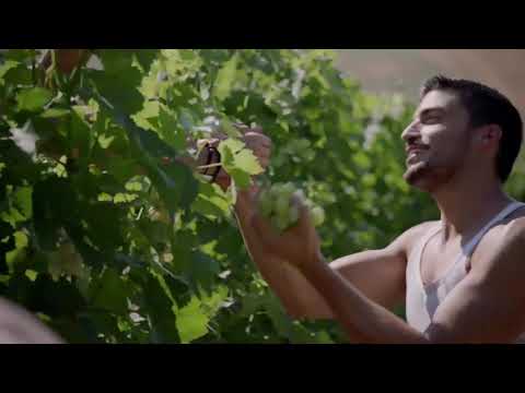 Dolce and Gabanna K by Mariano di Vaio #dolcegabbana #dolceandgabbana #marianodivaio