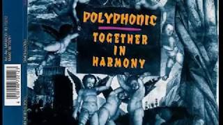 Polyphonic - Together In Harmony (12 Mix)