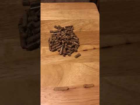 download lagu mp3 mp4 Smoke Ring Wood Pellets, download lagu Smoke Ring Wood Pellets gratis, unduh video klip Smoke Ring Wood Pellets