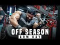 Off Season Arm Day | Jamie Do Rego