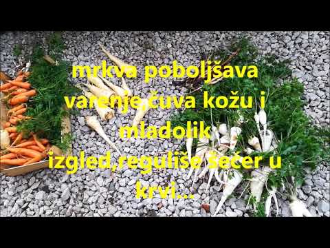 Povrće,koliko je potrebno organizmu?