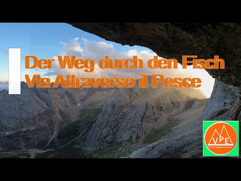 Weg durch den Fisch - Via Attraverso il Pesce - The fish route