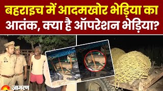 Bahraich Wolf Terror: बहराइच में भेड़िया का आतंक, क्या है ऑपरेशन भेड़िया?