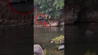 Download lagu siapa sangka‼️saat jelang maghrib terekam masih ada nelayan sungai yg berani gogoh ikan di sungai mp3