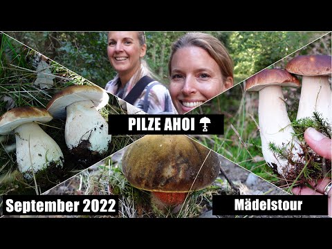 Girls' Mushroom Picking Trip - September 2022