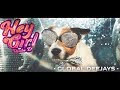 Global Deejays - Hey Girl (Shake It) (Official Music Video) Global Deejays - Hey Girl (Shake It) (Official Music Video)