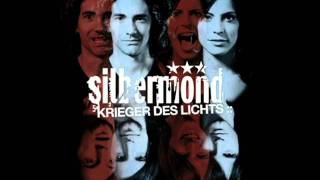 Silbermond - Krieger des Lichts [Friendship Remix]