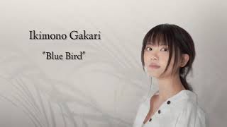 Download lagu Blue Bird - Ikimono Gakari (Ost Naruto) ~ Lirik dan terjemahan mp3 Download lagu Blue Bird - Ikimono Gakari (Ost Naruto) ~ Lirik dan terjemahan mp3