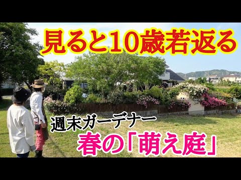 庭から採れるビタミンC 庭の練習