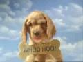 WaMu Ad Puppies
