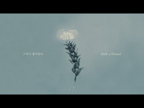1월 7일 CNBLUE COMEBACK I CNBLUE (씨엔블루) '그러나 꽃이었다 (Still, a Flower)' LYRIC VIDEO