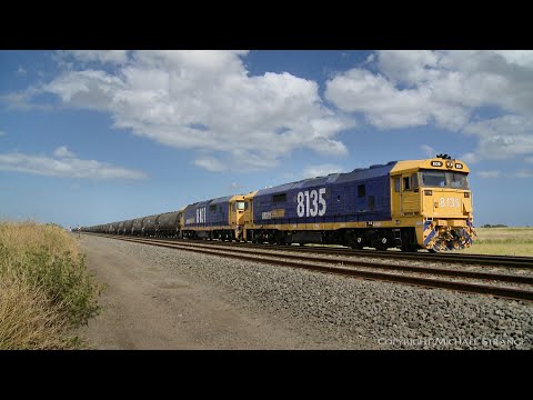 7737V Pacific National Grain Train, NGPF & NGKF Hoppers (17/11/2020) - PoathTV Australian Railways