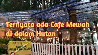 Download lagu FOREST KOPI BATANG : NGOPI ASYIK DI DALAM HUTAN!!! mp3