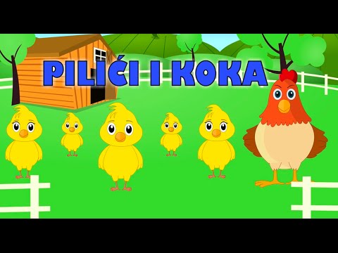 Dječje pjesme - TOP 20 | Pilići i koka i mnoge druge