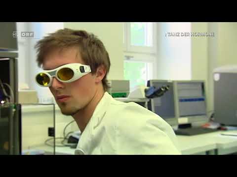 Tanz der Hormone  - sind wir alle ferngesteuert | Doku 2017