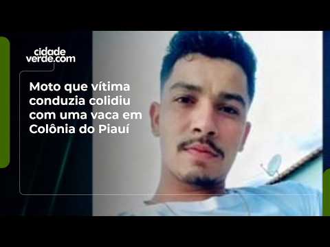 Moto que vítima conduzia colidiu com uma vaca em Colônia do Piauí
