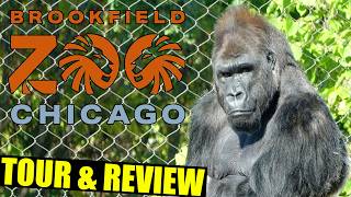 Brookfield Zoo (Chicago) Tour & Review