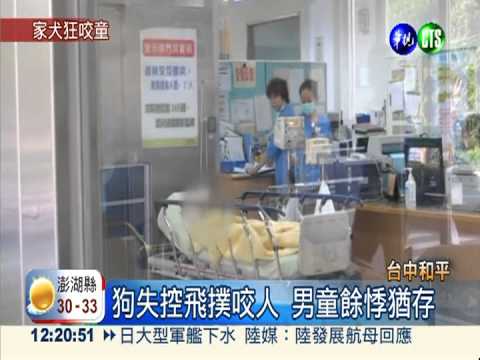 遭家犬咬傷渾身血 男童緊急送醫