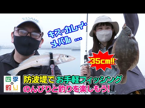 防波堤でお手軽フィッシング のんびりと釣りを楽しもう!(四季の釣り/2022年5月6日放送)