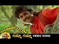Ramudochadu Telugu Movie Songs Gumma Gumma Video Song Nagarjuna Soundarya Mango Music