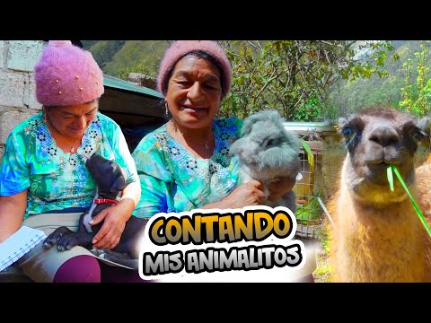 , title : 'LES PRESENTO MIS 33 ANIMALITOS | Señora marianita'