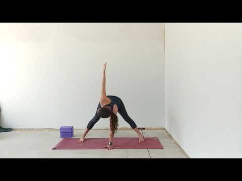 Prasarita Padottanasana to prep Twisted Triangle