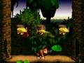Donkey Kong Country Charactor Animations