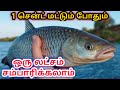 Biofloc Fish Farming Tamil பயோபிளாக் மீன் பண்னை Biofloc Training
